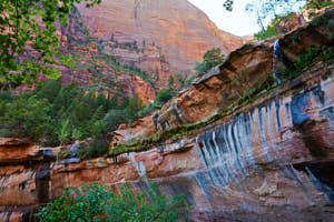 USA Zion<br>NIKON D4, 24 mm, 450 ISO,  1/160 sec,  f : 8 